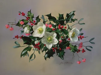AB89 Christmas Roses